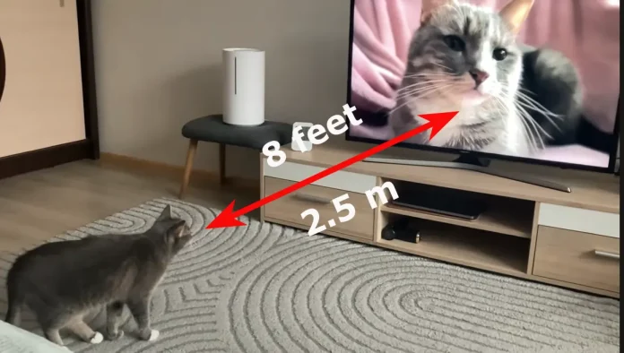 Viewing distance of a 65-inch TV